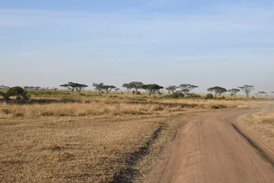 DSC_3782 (Large).JPG